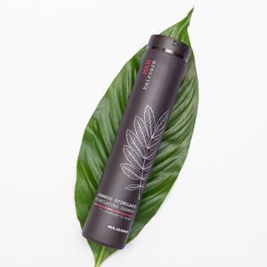 Hajhullás elleni sampon férfiaknak 250 ml
