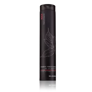 Sampon napi használatra férfiaknak 250 ml