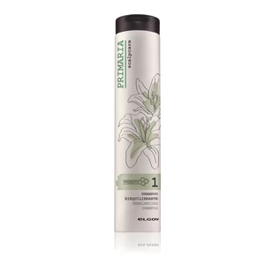 Zsíros hajra normalizáló sampon fehér agyaggal 250 ml
